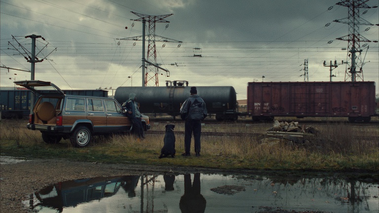 Ice Cream - Walygator