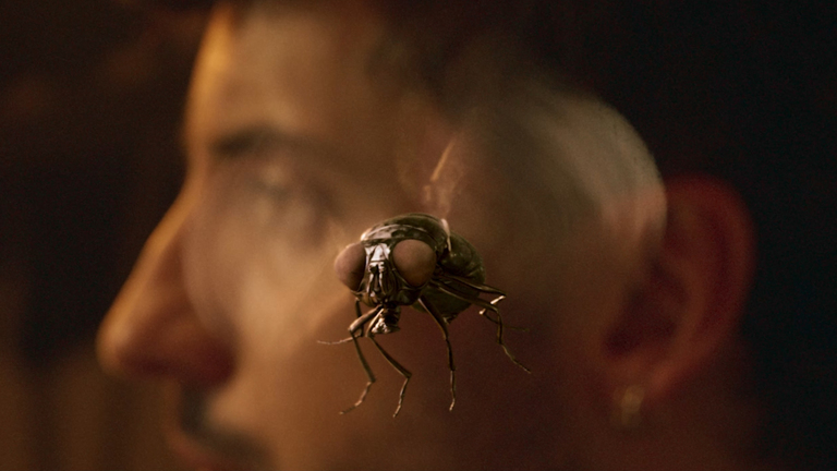 Ice Cream - Influenceur