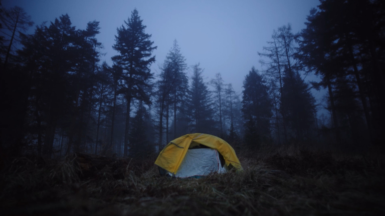 Ice Cream - Manifesto