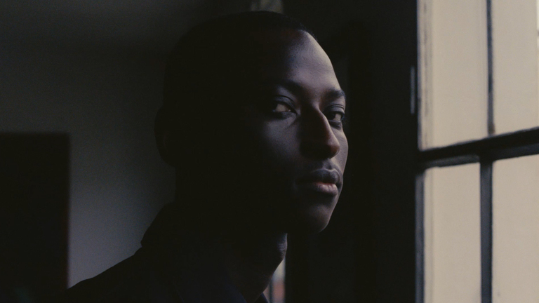 Ice Cream - Soft Trunk