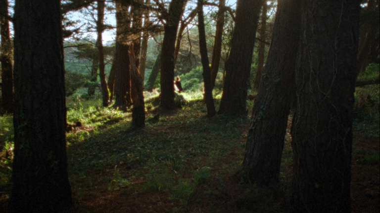 Ice Cream - SS24 Clothing