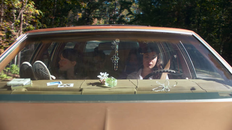 Ice Cream - Daisy Wild Bold