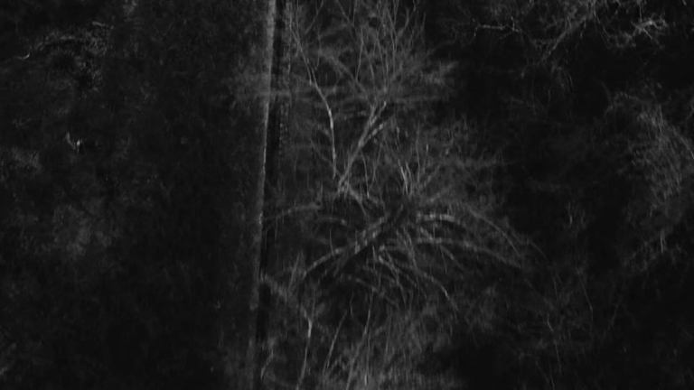 Ice Cream - Les Cigales