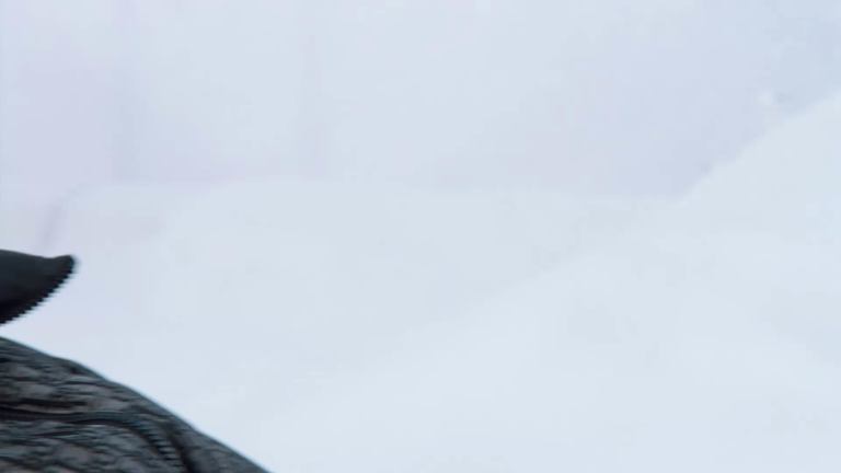 Ice Cream - Collection Capsule DiorAlps